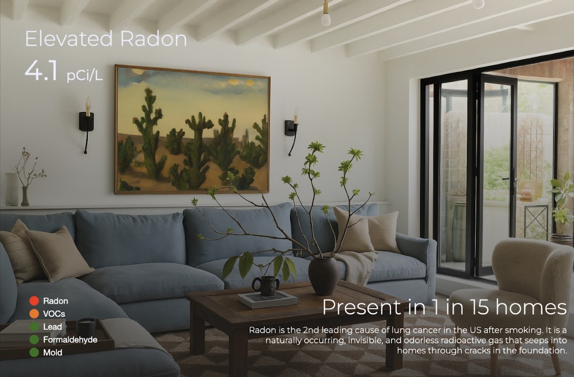 Home chemicals and contaminants